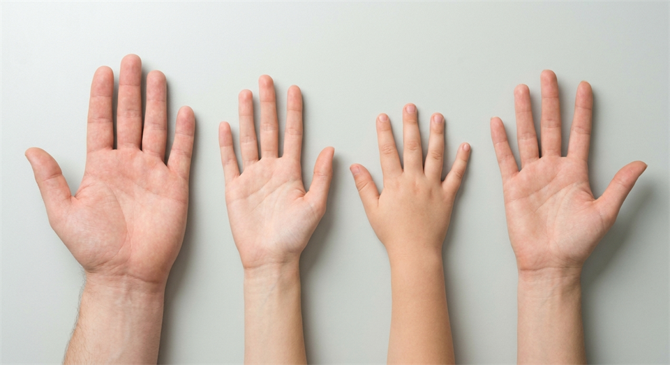 Illustratives Bild verschiedener Handformen zum Handlesen