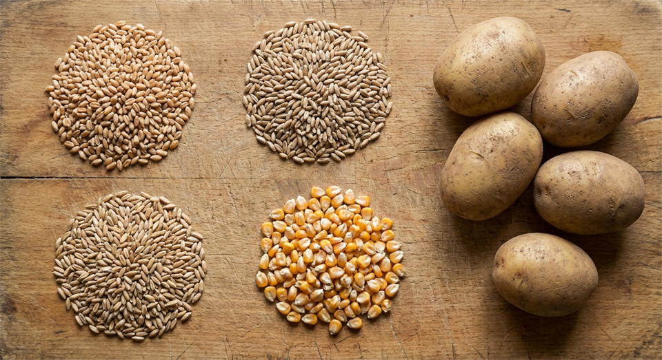 Grains, potatoes, and ingredients used to make vodka