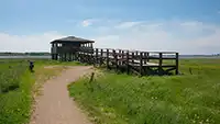 Vilsted Sø - Generelt