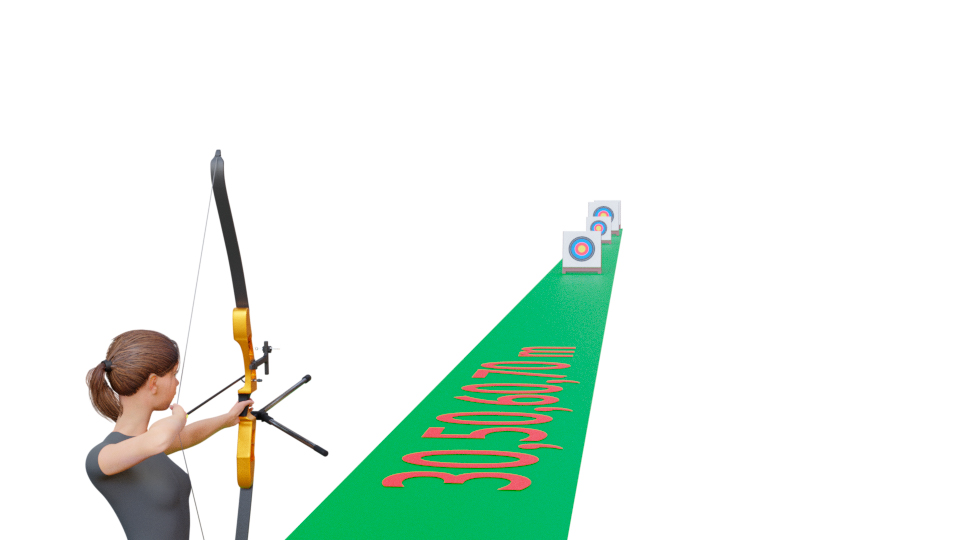 Visualisation d'une manche FITA