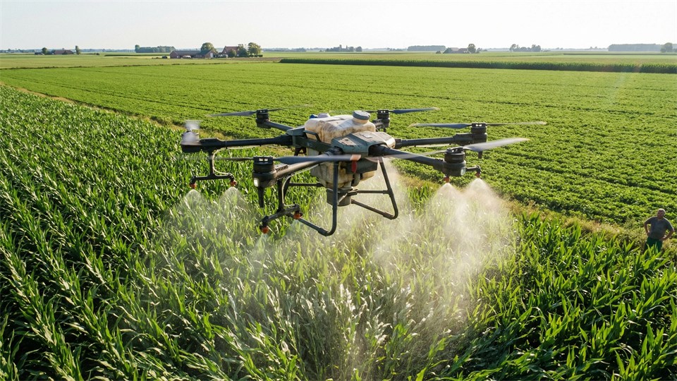 Drone flyver over mark og sprøjter afgrøder